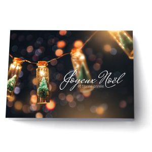 EDV-1110 | Fêtes en lumières