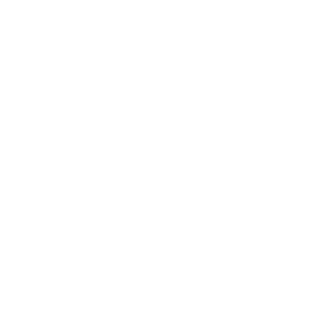 Icone-compteur_ANNEE_NALAC_300x300